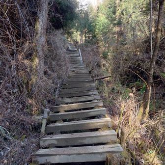 金剛山・二上山・大和葛城山 下りは寺谷から。

この階段が怖い:(   ´꒳`;)
下から見たらおわかりですが
歪んでってます。

そしていつか踏み板ぶち抜く
気がする💦