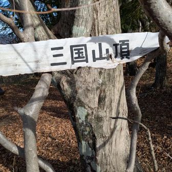 テーブルが２つにベンチもあり。