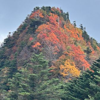ニノ森⛰️🍁