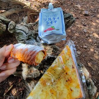 サクサクのクリームコロネとクロックムッシュいただきます🙏