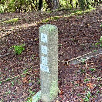 九合目