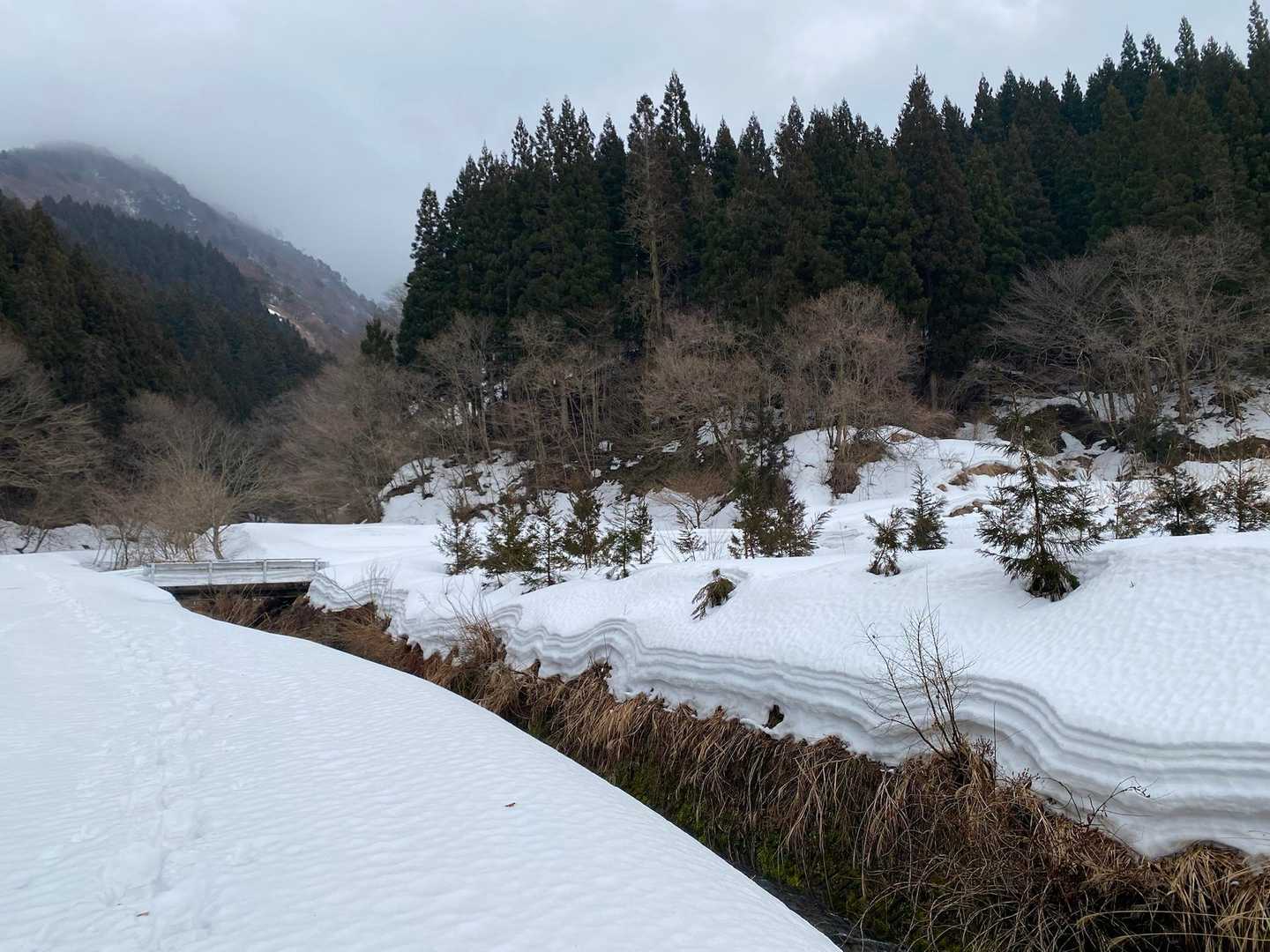 東光山登山口の看板からスタート
カモシカとすれ違う。