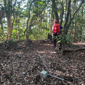 石炭山山頂着。
「つくね山」は愛称だそうです。