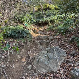 と思ったのも束の間、結構急