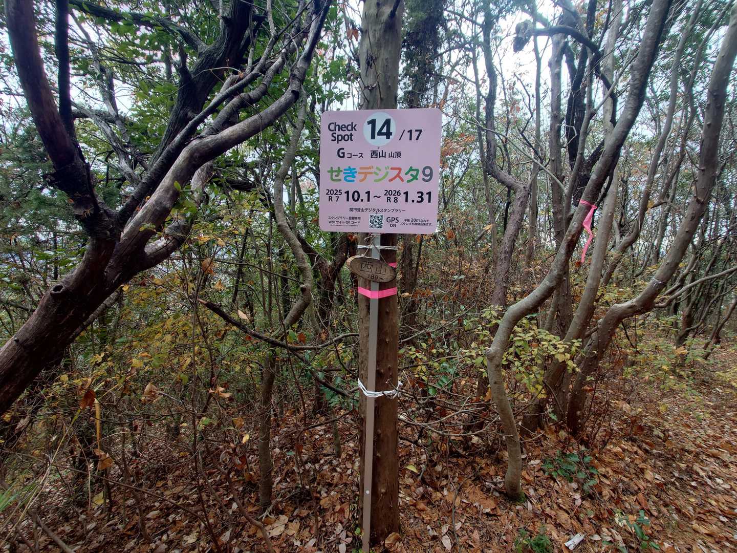 西山の頂上です。