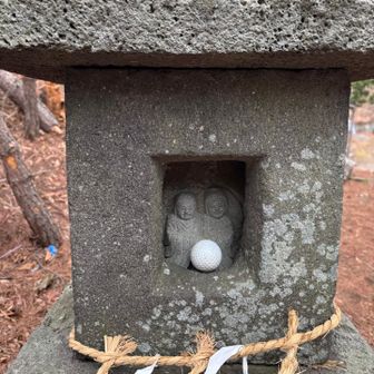 なぜゴルフボール？