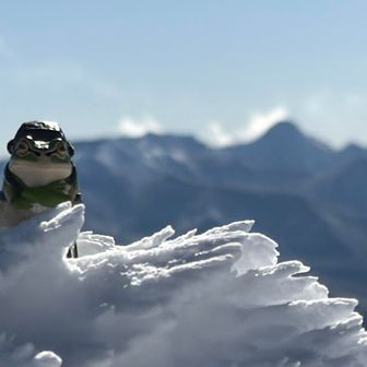 今年も全山無事カエル
