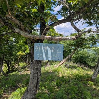 外津汲山793㍍