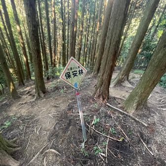 ここも左右に分かれます
右は水越峠登山口🅿️付近、左は水越川公共🅿️の裏にでます