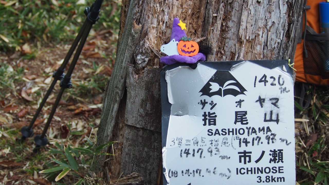 ここまでは、楽勝と思われた。
あれっ、魔女ハット？指尾さん(山)もう仮装ですかぁ？まだ10月10日ですよォ(笑)
