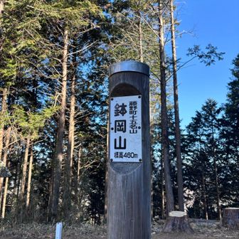 鉢岡山❣️
🦖ちゃん、前足はちゃんと描いたからね。