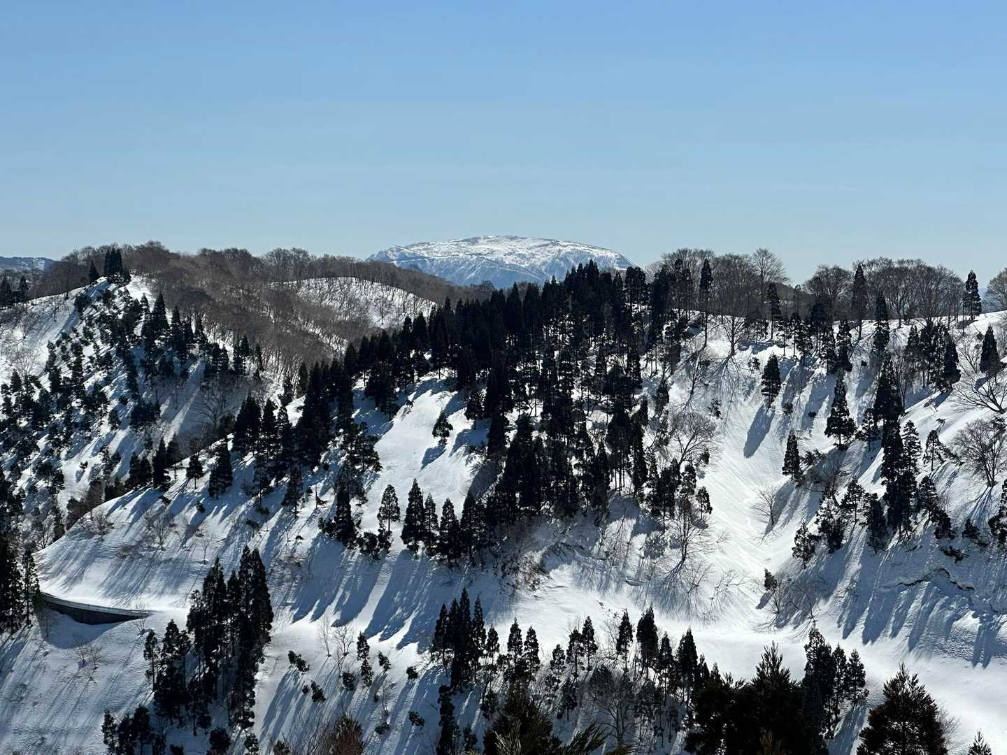 い）伊吹山、ガトーショコラみたいですね。
ヨ）どっちかてとステーキじゃない？
さて貴方は何に見えますか？