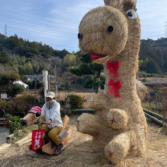 こんにゃく亭のおじさんが『人間も乗れるぞ🐎』って言うから乗馬初体験