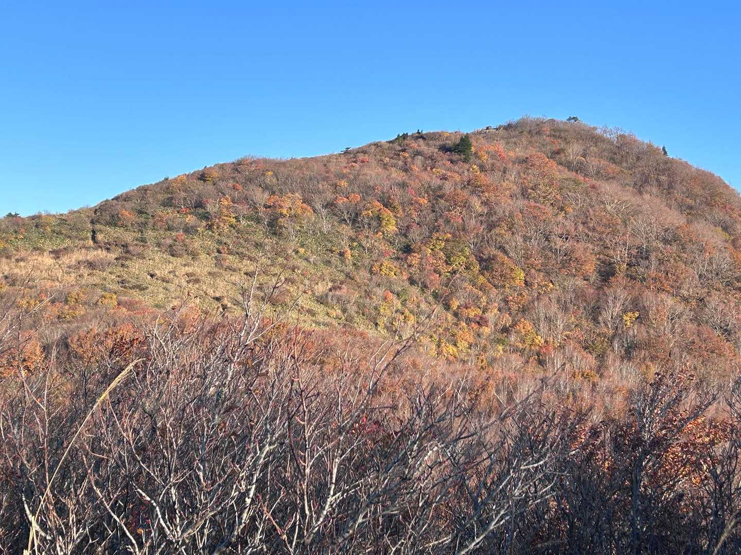 大将旗山のpeak
