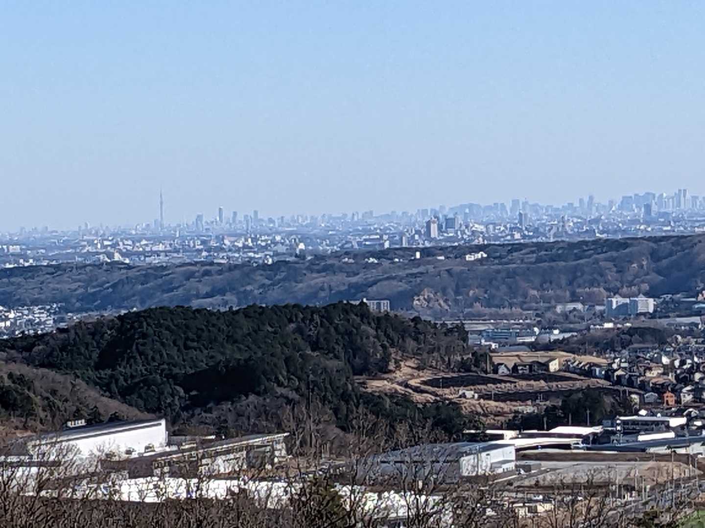 スカイツリーも見えます👀