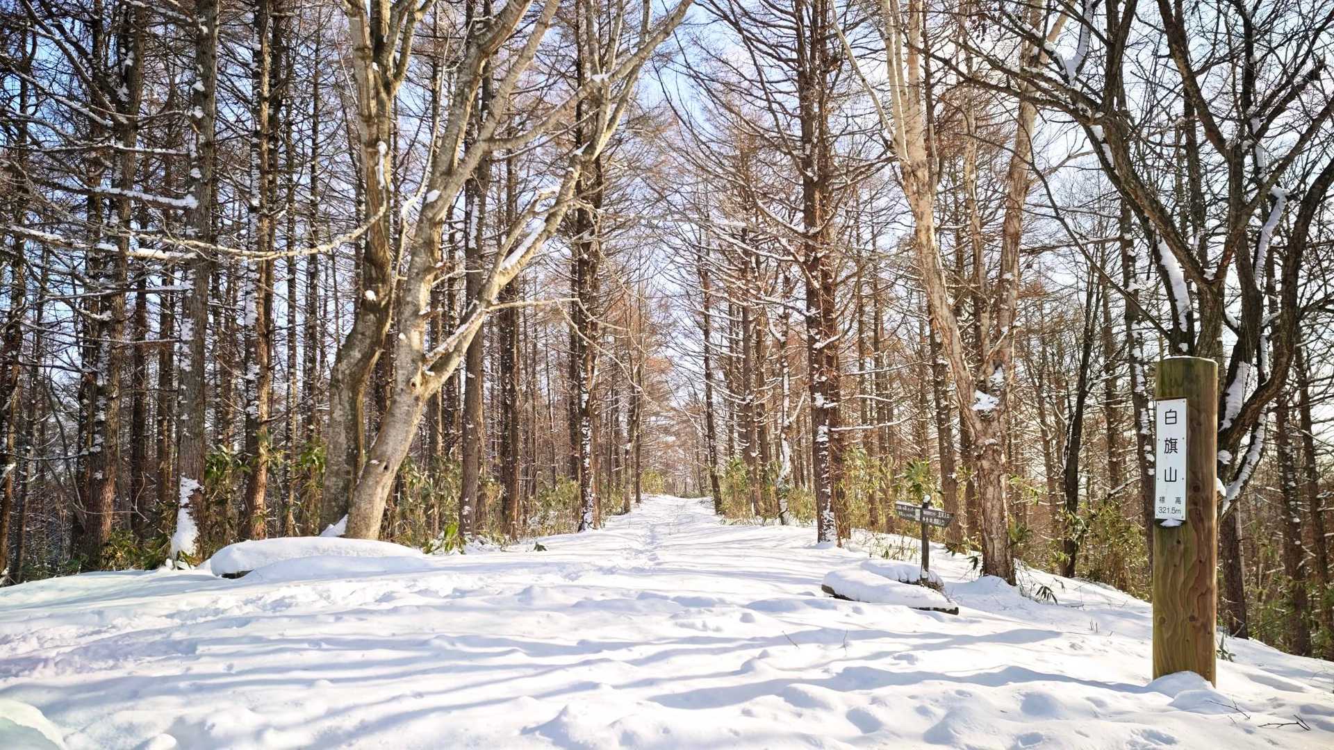 白旗山山頂