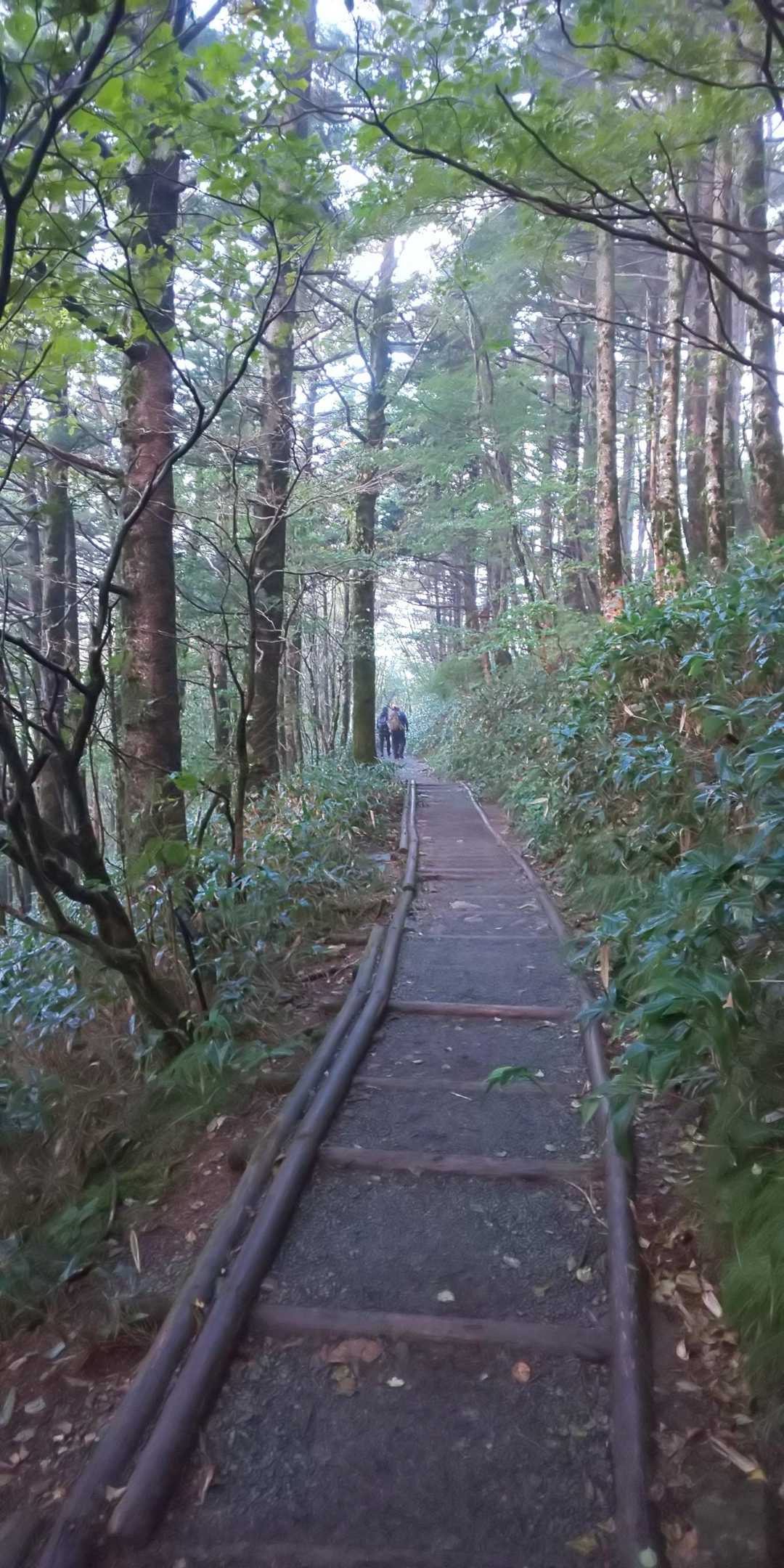 夜が明けてから、行ける所までの条件つきでスタートでつ😅。