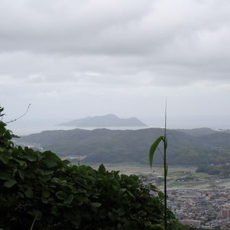 宗像の大島