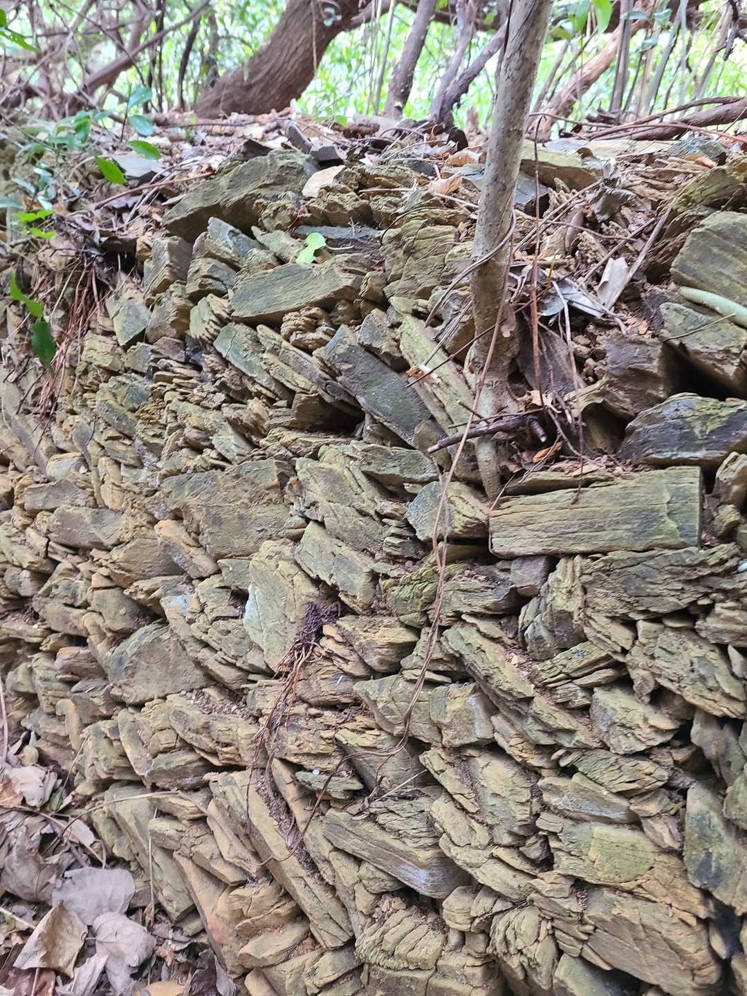 山頂辺りへ。
そして下山です。