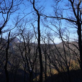 木の合間から武甲山と二子山