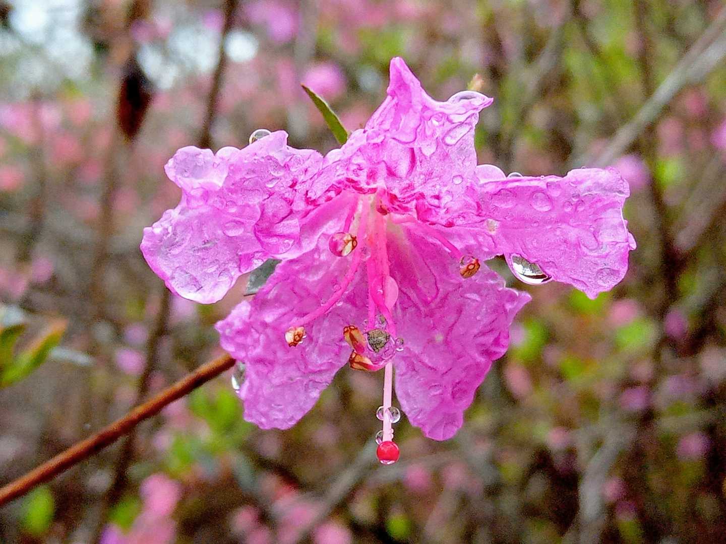 🆙…しずく💧✨