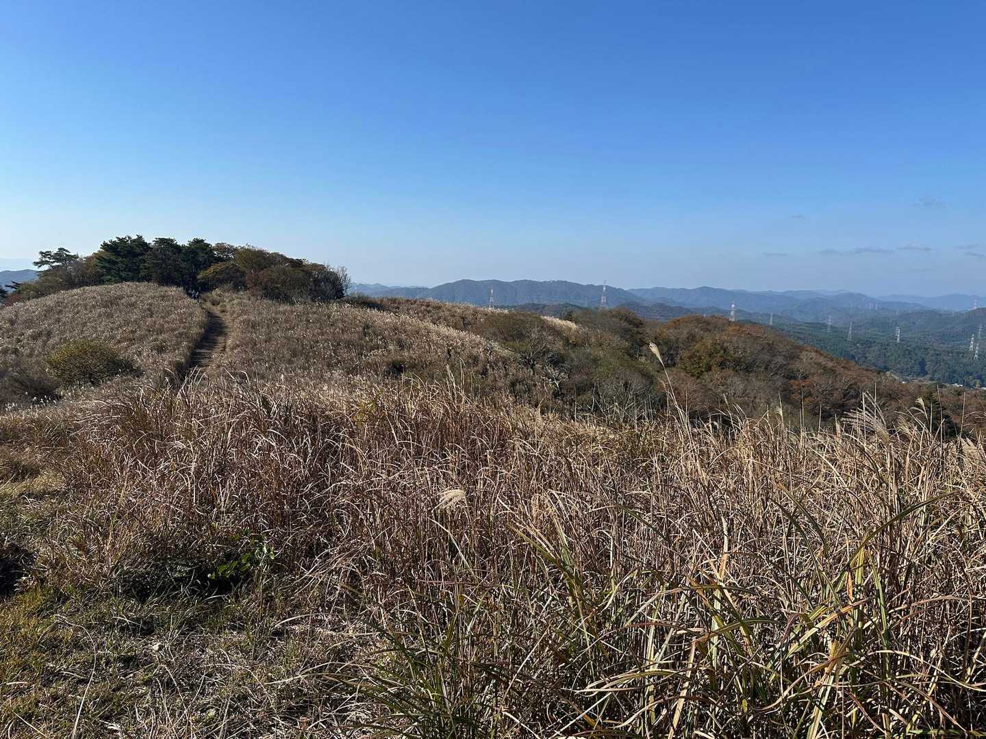 深山 往復コースの写真