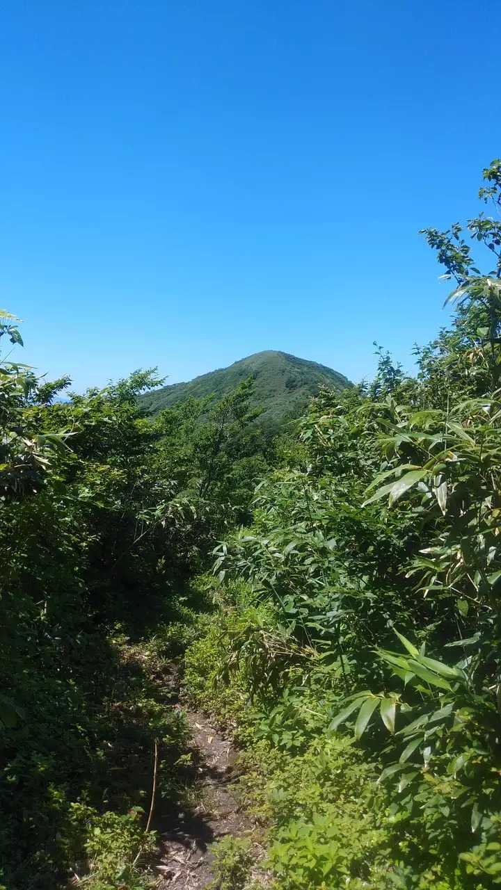 中岳（岩手県八幡平市）の写真