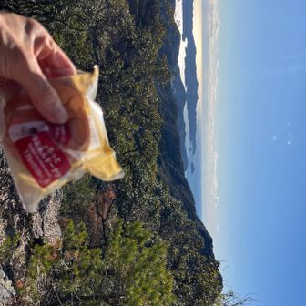 とりあえず少し食べました