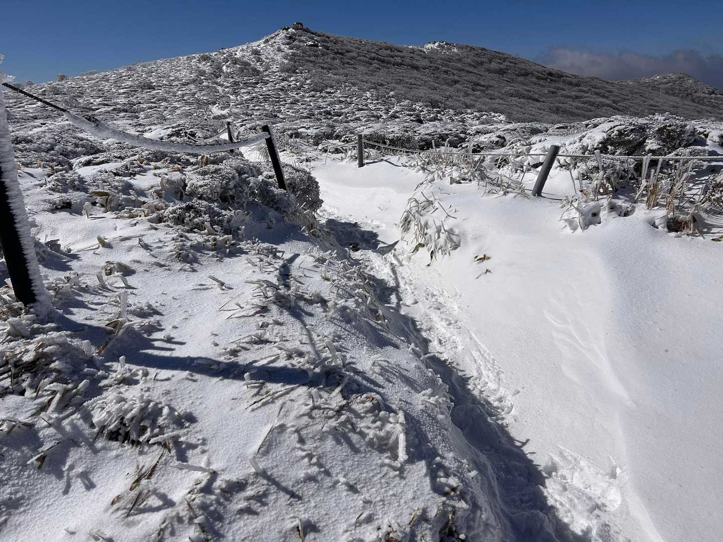 雪の扇ケ鼻は初めて
美しい😍🤩