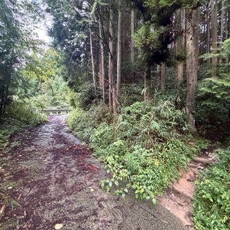 今日は青崩で