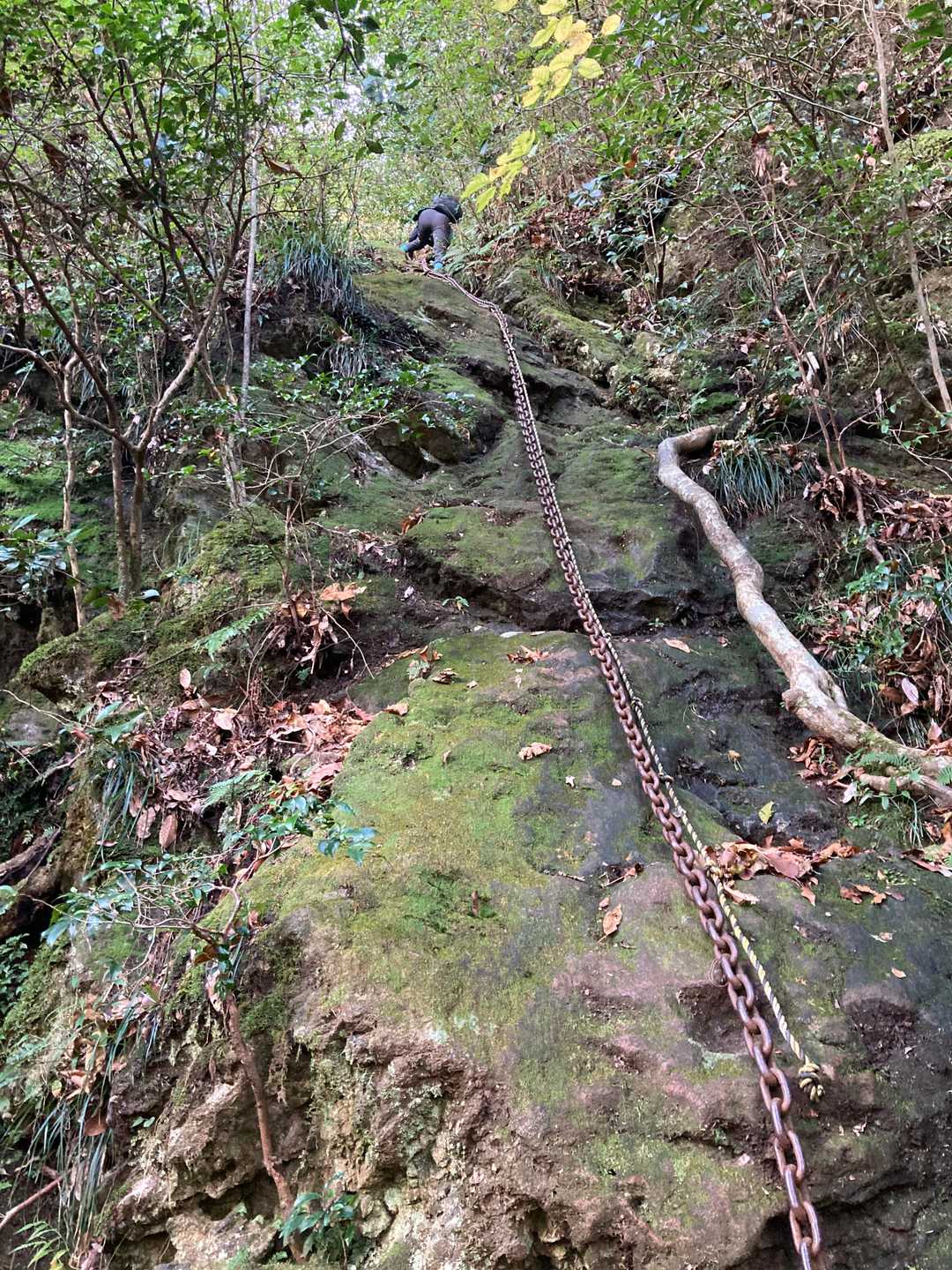 写真を撮りながらハラハラです