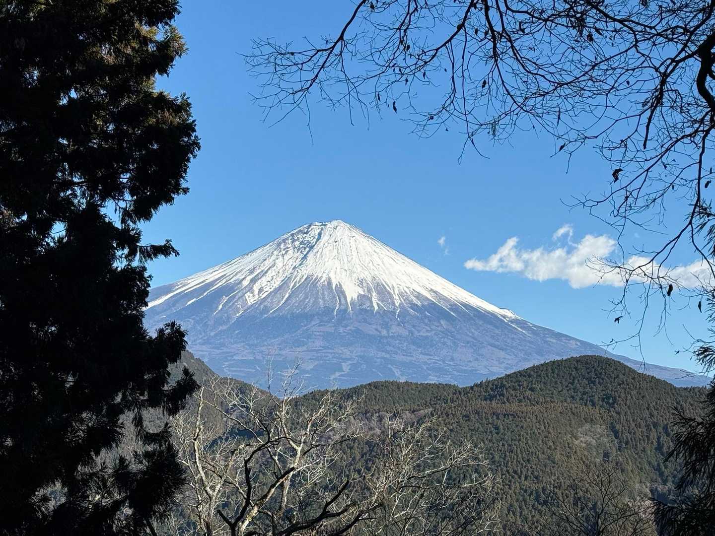北側尾根には富士山🗻展望地あります。
標高約450m。休憩可能なスペースありますよ😄