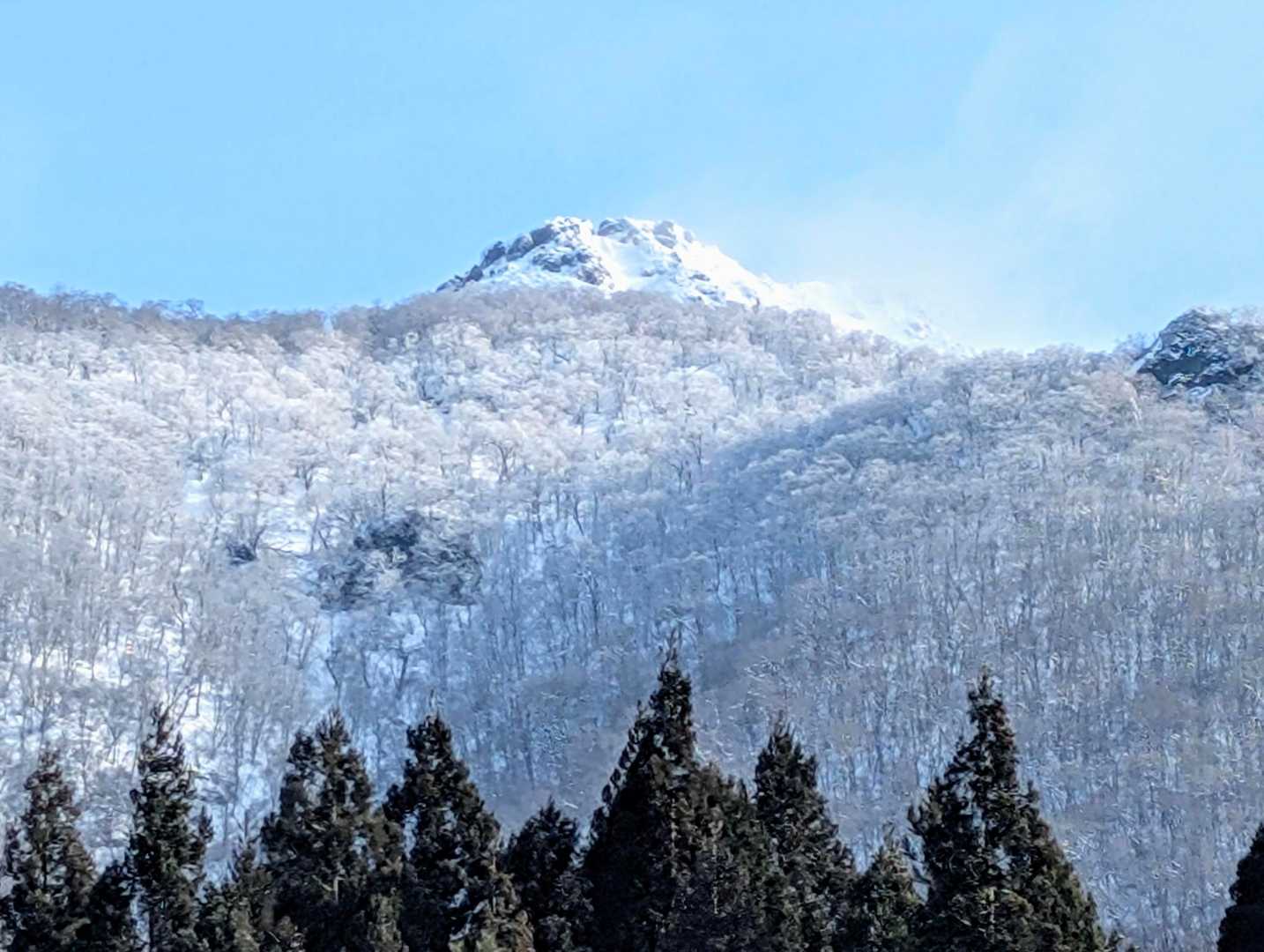 🔍　奥に🏔️ニセ鶏頭(ニセピーク)　