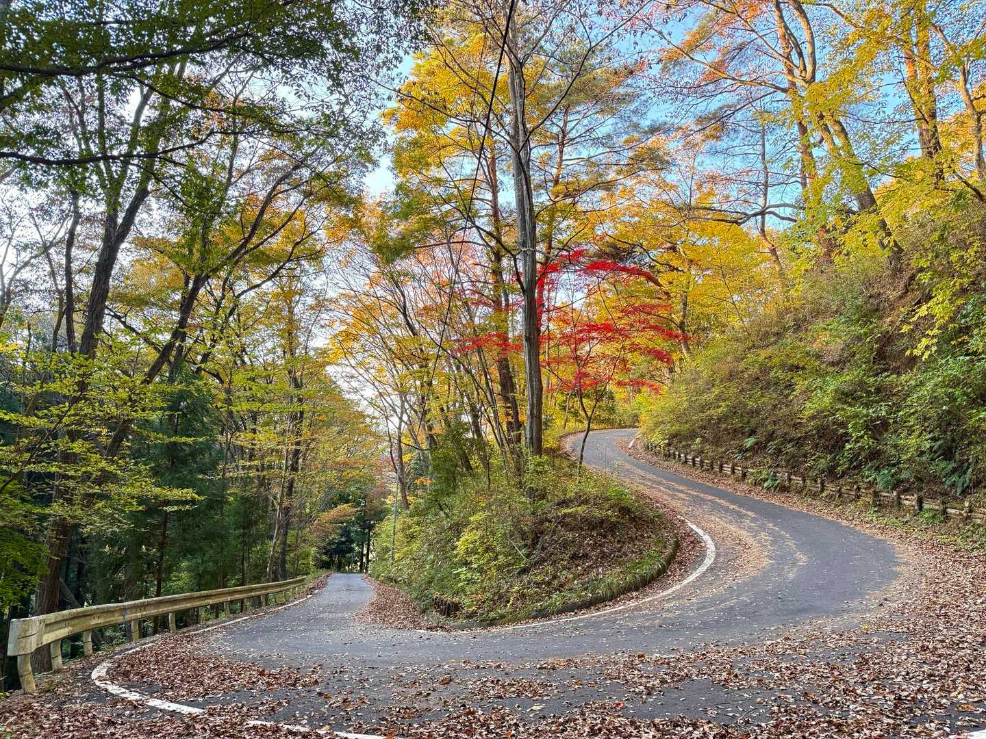 道路に飛び出し終了