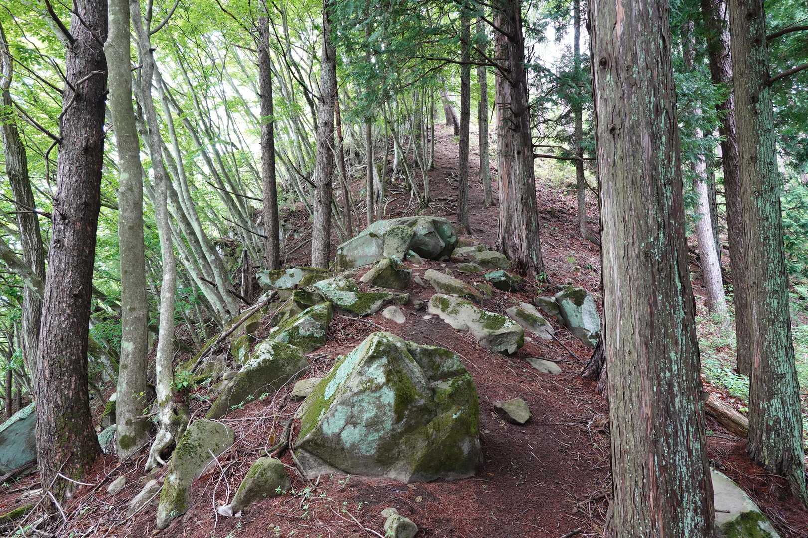 昨日の雨で湿ってます
滑りやすいので足元注意⚠️
