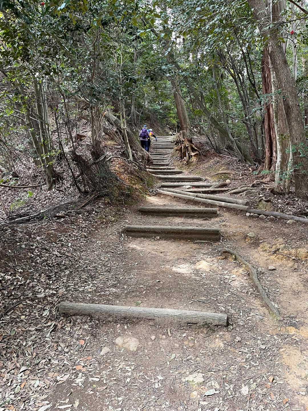 天王山へ