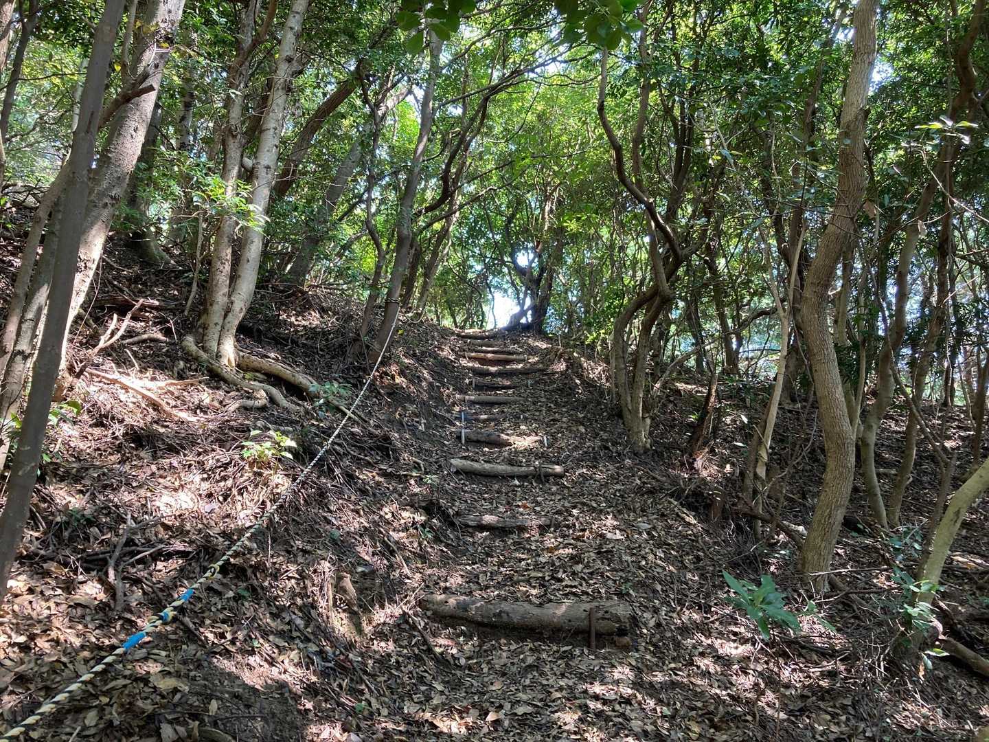 小倉ヶ辻 往復コースの写真