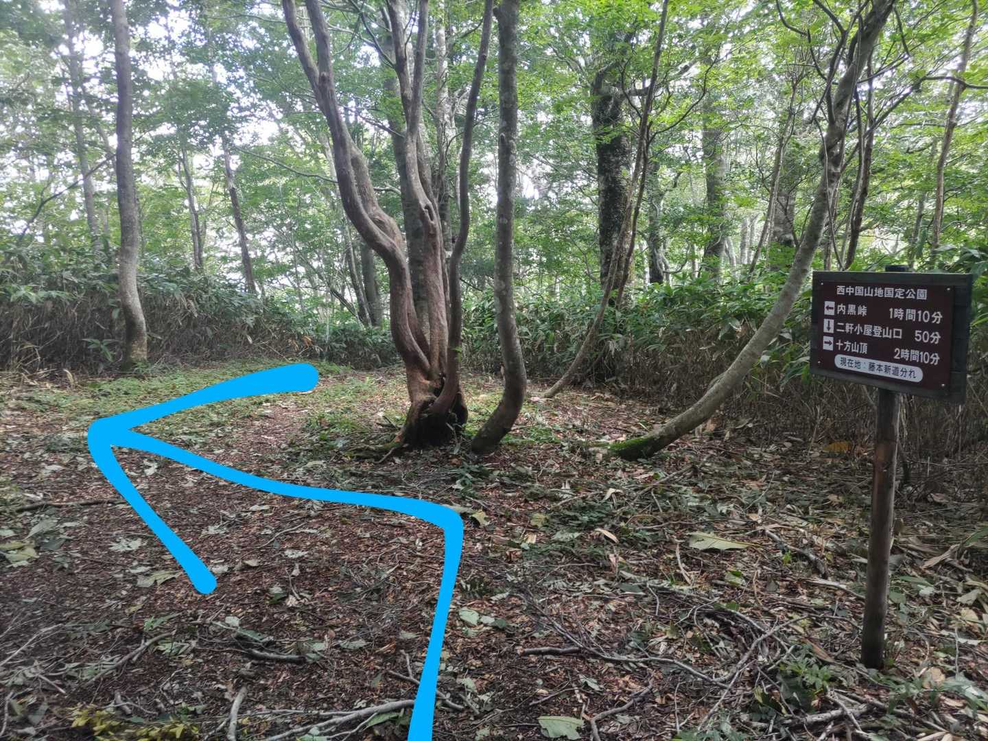 『藤本新道別れ』到着

時間表示の看板が有り、しっかり手入れも成されとってもわかり易い登山道です💯
ここから内黒登山口まで、
看板では110分とありましたが、実際は丁度40分でした🕜