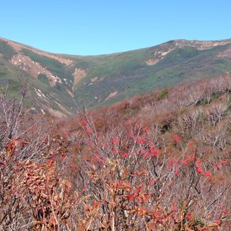 平標山と仙ノ倉山の稜線