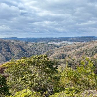 遠くにソーラーパネルが…。
残念すぎる景色…。