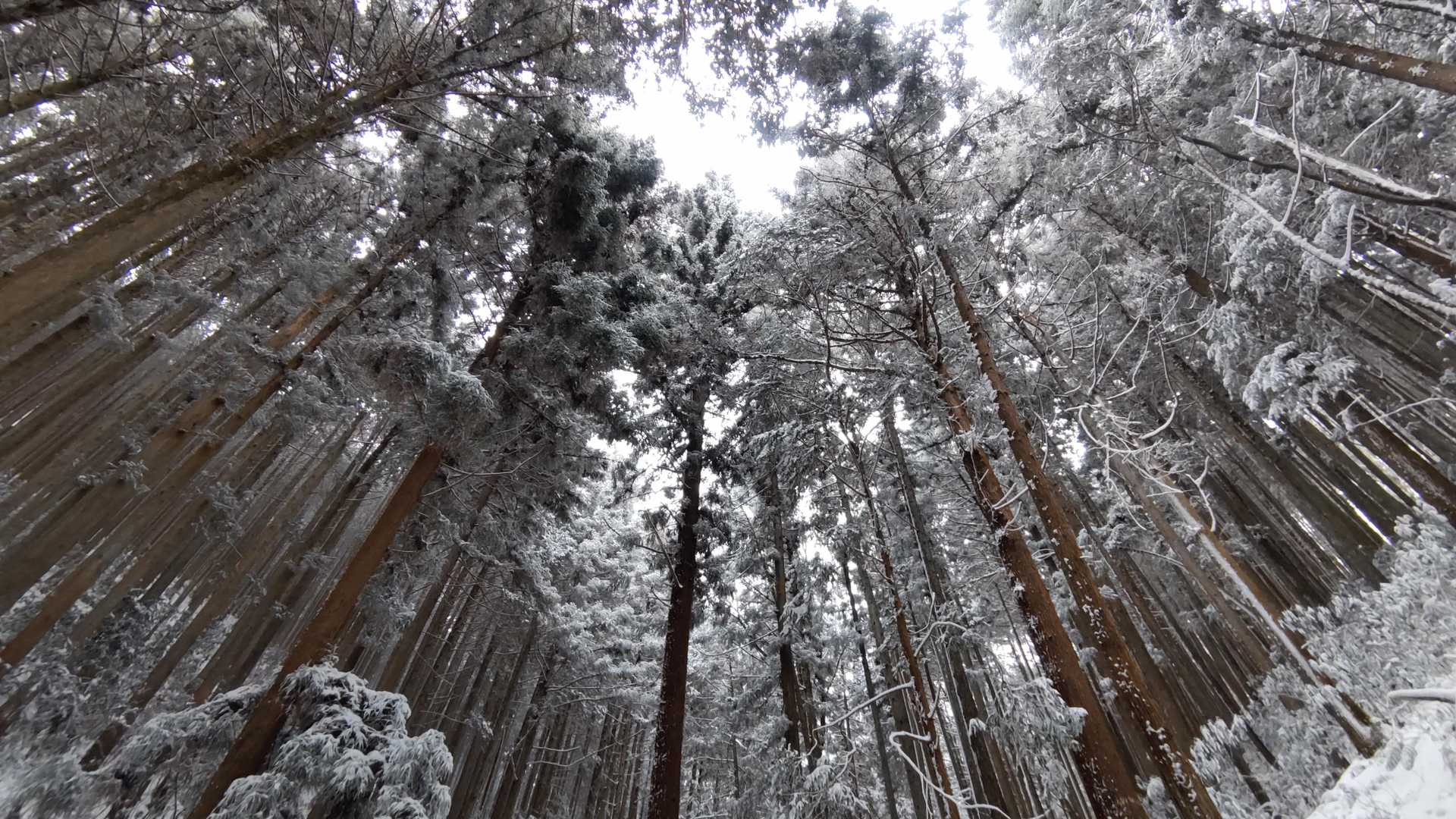 気温が低いので溶けません
