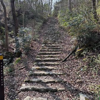 おっ、いきなりですなぁ。
登りは大丈夫、上りはね。
