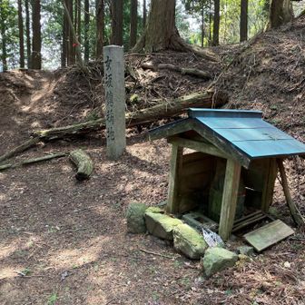 大峠まで降りて来ました