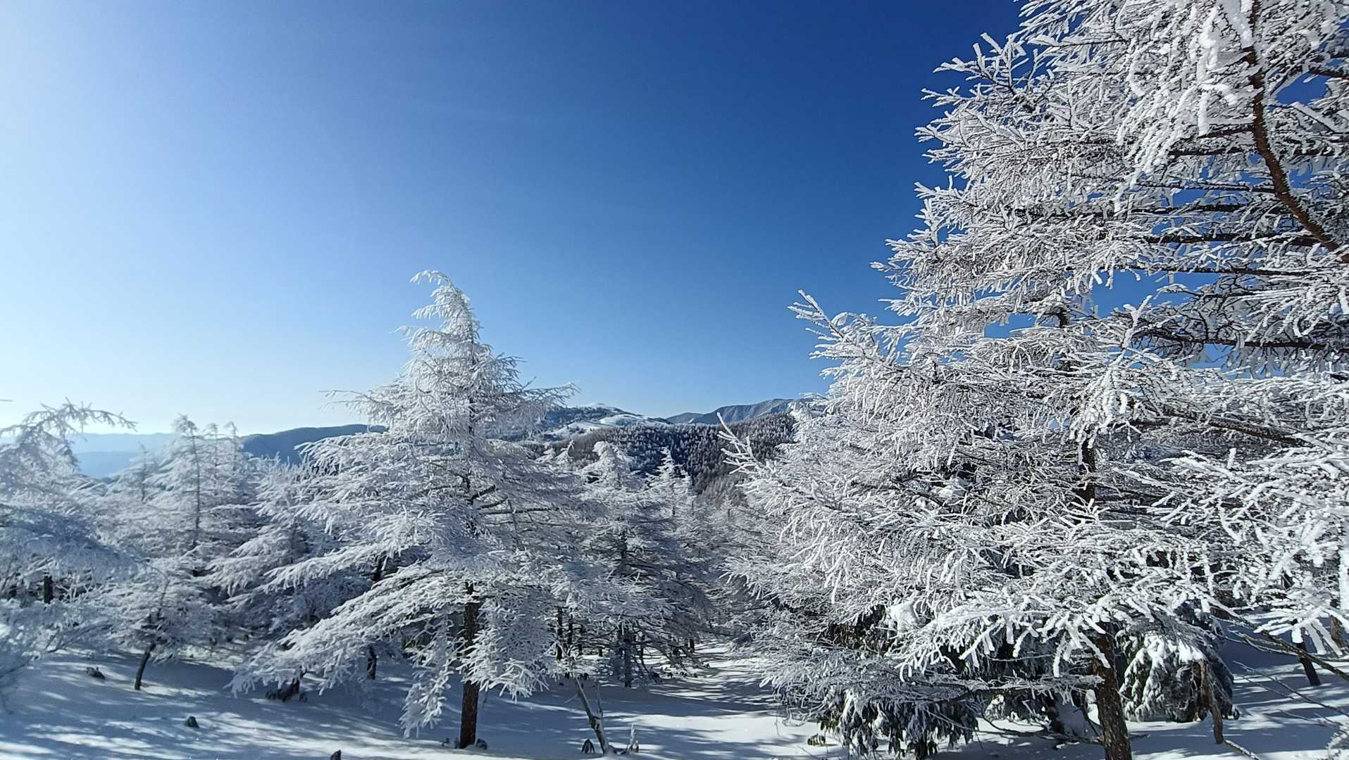スノーシューをレンタルしとけば良かったね、など言ってもあとの祭り🤭

取り敢えず景色を眺めて癒しタイム😍