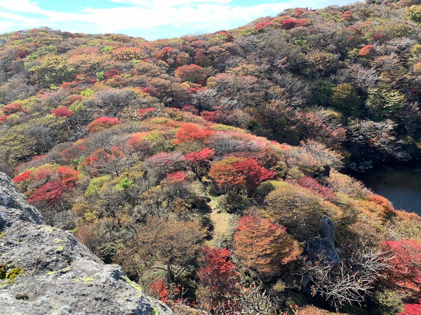 こちら側の斜面も綺麗です🍁