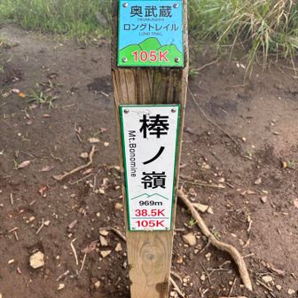 奥武蔵ロングトレイル
というのもあるのね📝