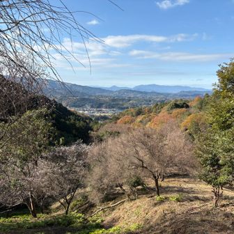 東屋から西側の展望
あっ！白いのが見えたよー🤍
