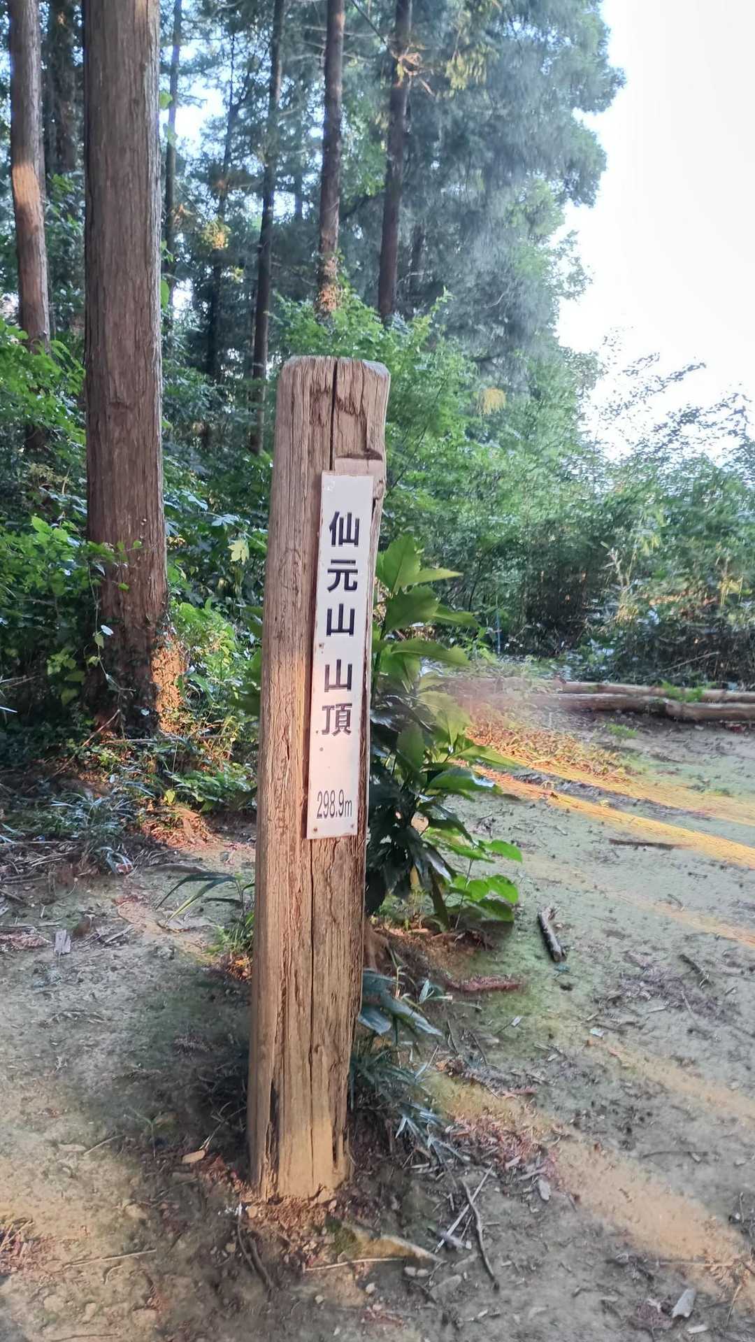 仙元山-城山 往復コースの写真