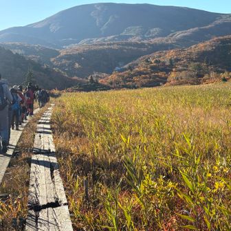 登山口からずーと人の列😅