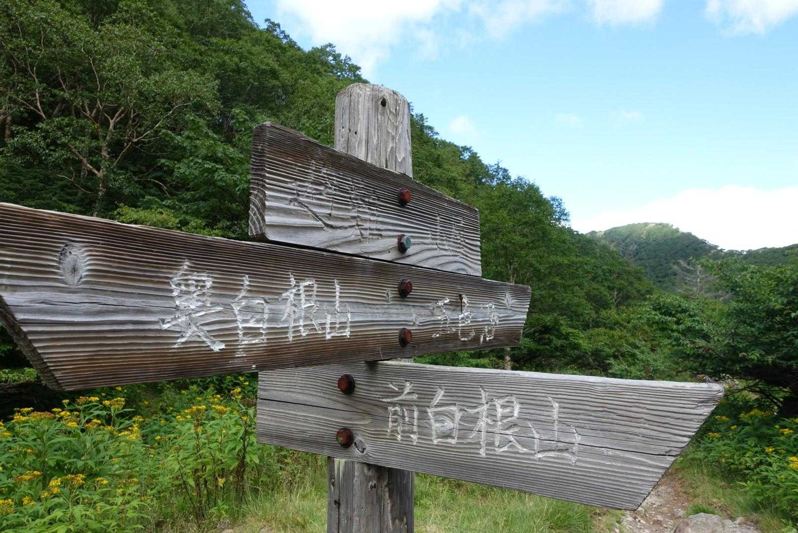 小屋の後ろを登ると前白根山
私は五色沼へ